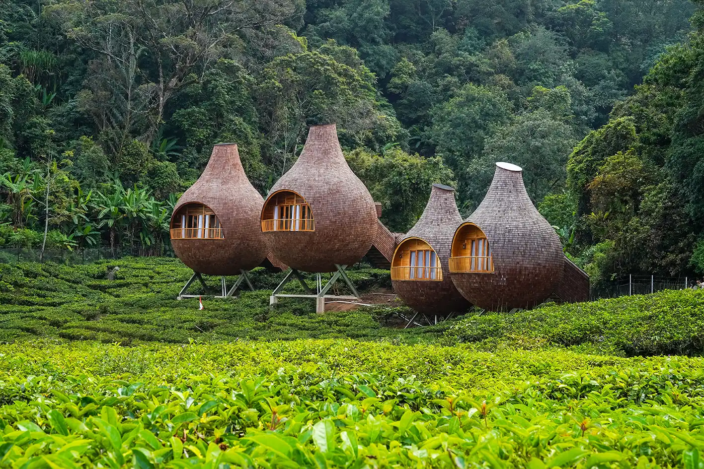 10 Tempat Glamping di Bogor Yang Milik Panorama Keren